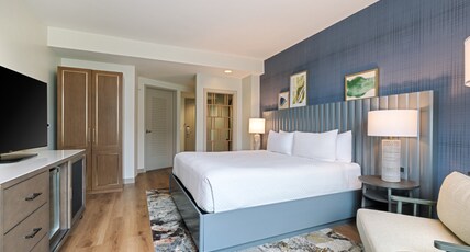 Hotel Indigo ASHEVILLE DOWNTOWN Room Type - 1 King Standard Communications Accessible