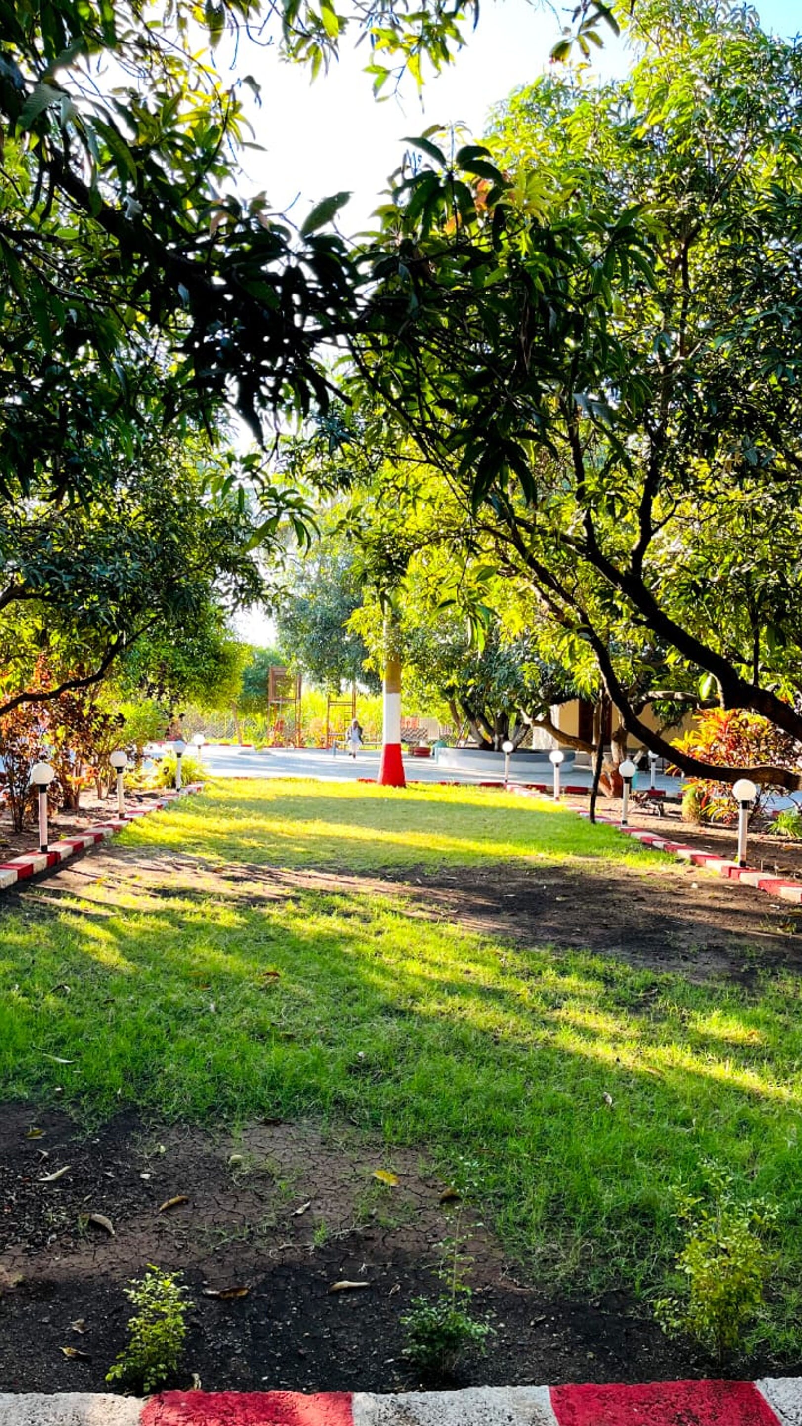 Gir Kesari Farm and Resort - Tap to explore photos