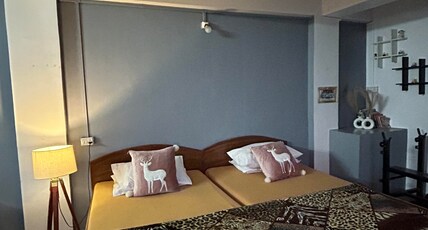 Linzs nest Room Type - Bedroom