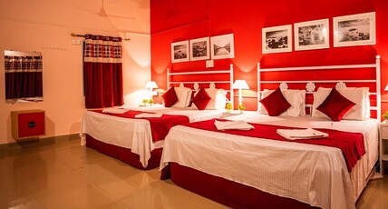 Panther Jungle Stay Room Type - Four Bedded Room