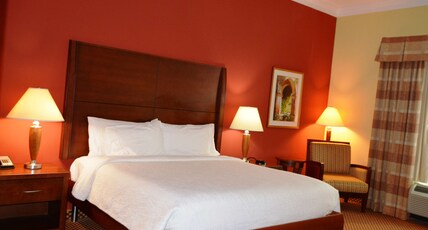 Hilton Garden Inn Houston West/Katy Room Type - 1KNG MOB HEARING ACC W TUB
