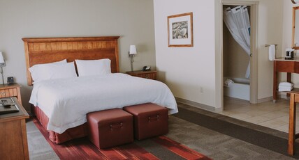 Hampton Inn & Suites by Hilton Green River Room Type - 1 KING STUDIO STE NONSMOK