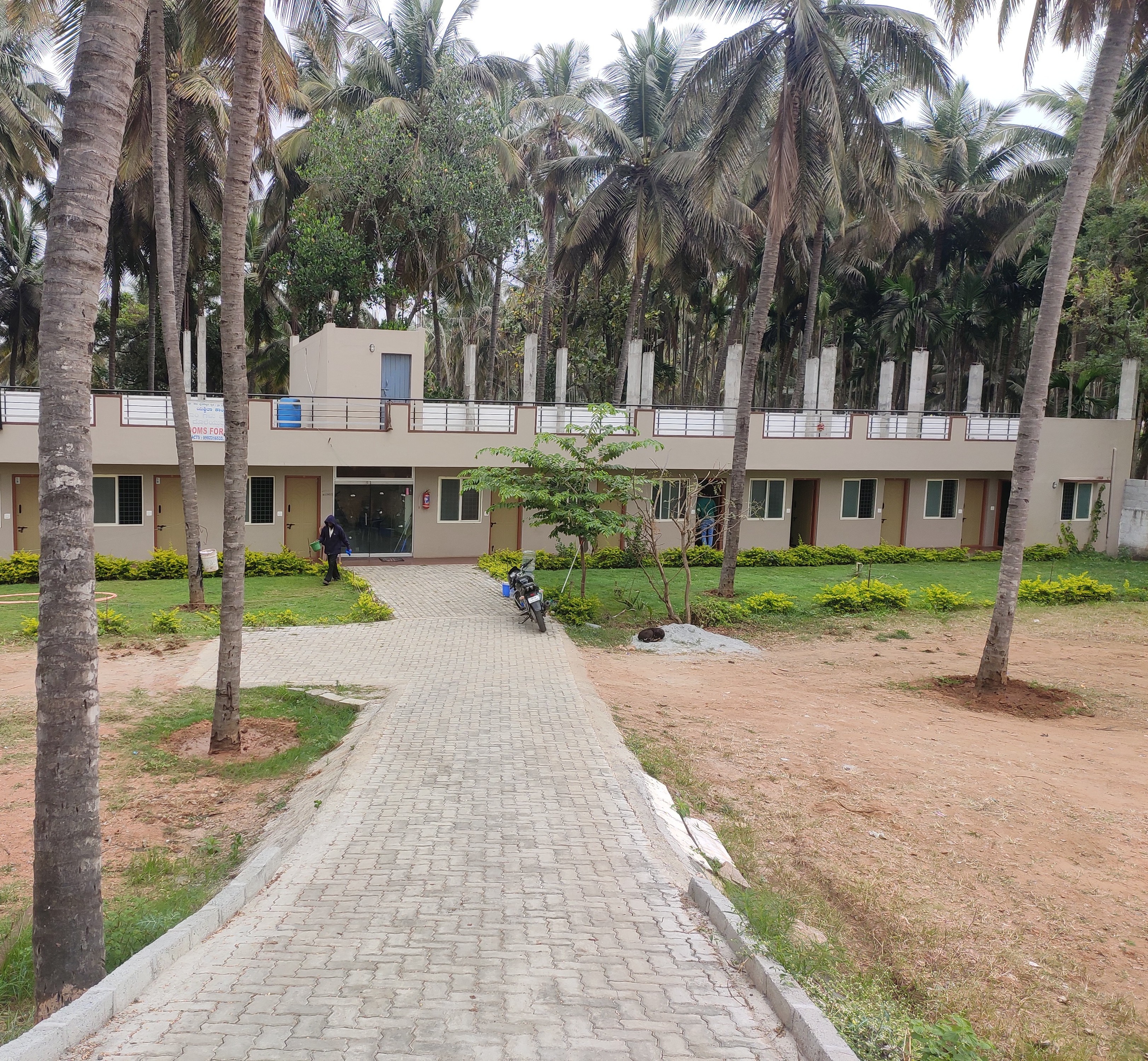 Main gallery