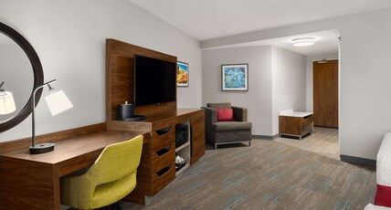 Hampton Inn by Hilton Carefree Room Type - 2 QN W SOFABED BALCONY