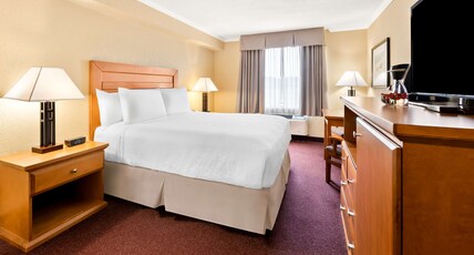 Best Western Plus Nor'wester Hotel & Conference Centre Room Type - 1 Queen Bed, Non-Smoking, Flat Screen Television, Refrigerator, Wi-Fi, Full Breakfast Best Western Plus Nor'wester Hotel & Conference Centre Room Type - 1 Queen Bed, Non-Smoking, Flat Screen Television, Refrigerator, Wi-Fi, Full Breakfast