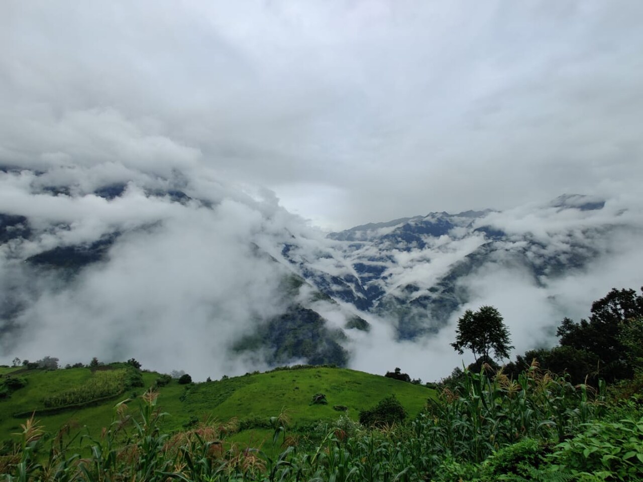 Himalayan Resort kharapather - Tap to explore photos