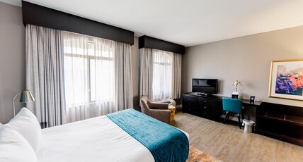 Hotel Indigo SAN ANTONIO-RIVERWALK  Room Type - Standard Room