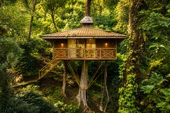 Address of Soma Seven Springs Plantation Resort