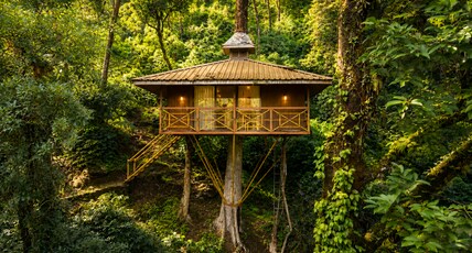 Soma Seven Springs Plantation Resort Room Type - Tree House