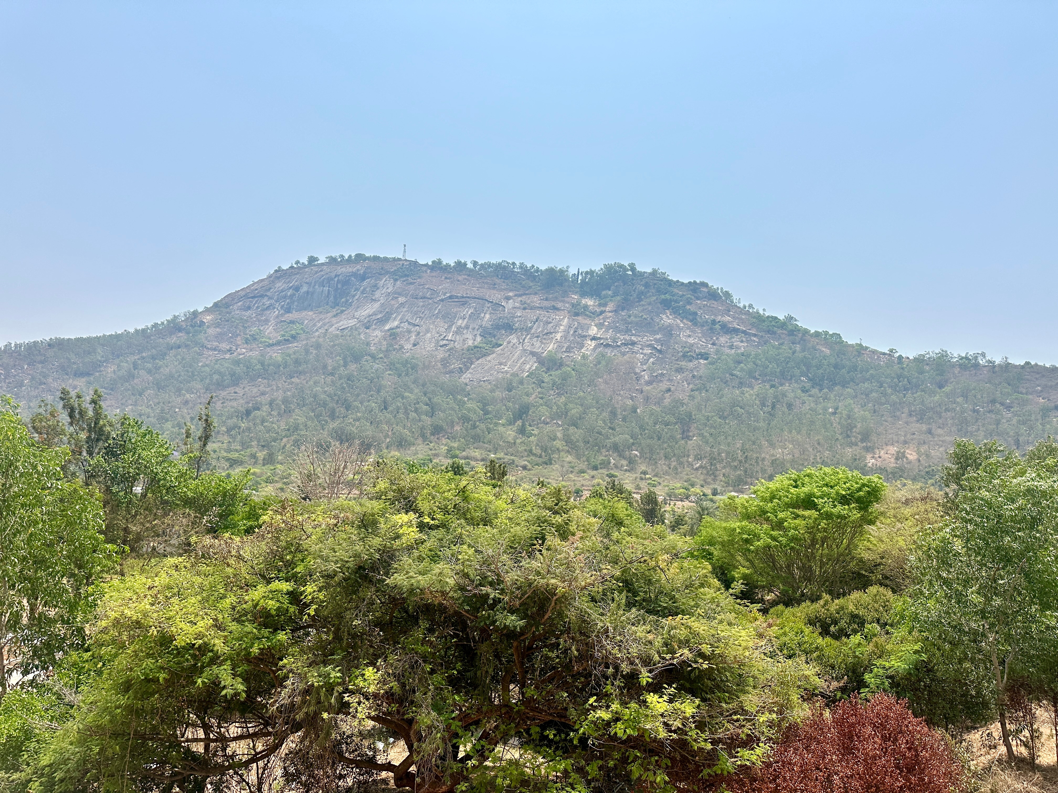 Summer House Nandi Foothills - Tap to explore photos