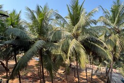 Baga Seawinds Luxury Studio Pool Walk To Beach