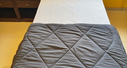 Abhushan Mahal Room Type - Executive AC Room