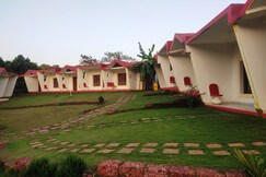 Maior Roma by Jolly Jolly Lester