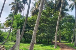 Manvith's Heritage RiverRetreat