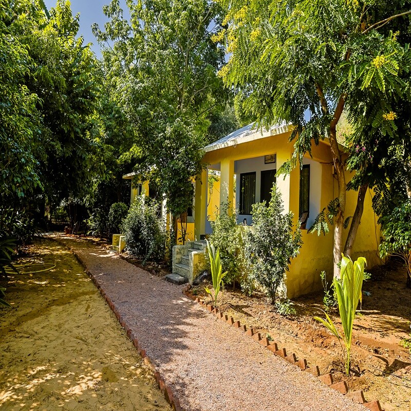 Sariska Jungle Camp - Tap to explore photos