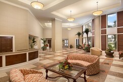 Royal Palms 704 by RedAwning
