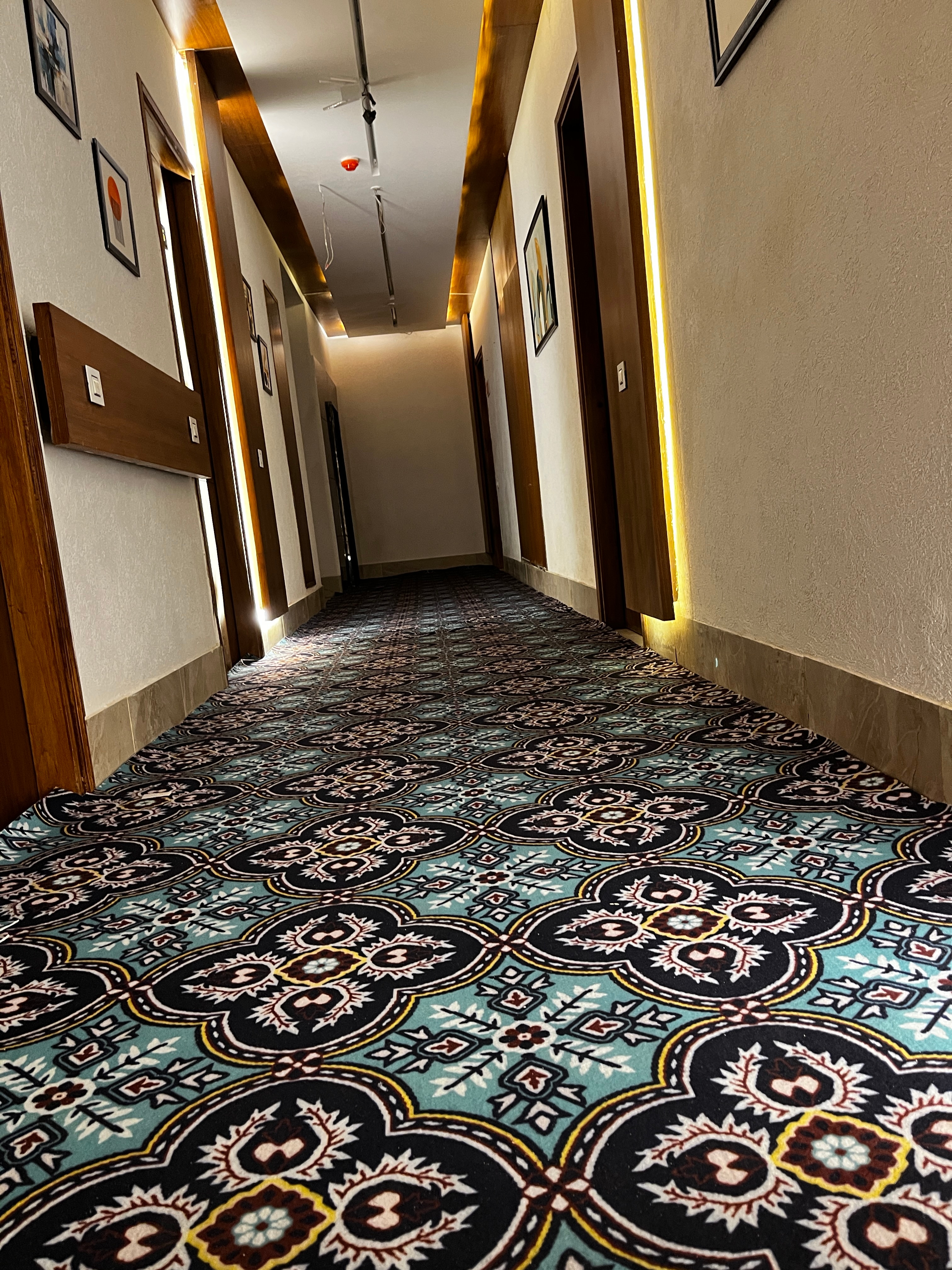Hotel Dreamz Inn & Suites Siswan - Tap to explore photos