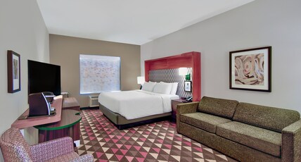 Holiday Inn ERIE Room Type - 1 King Standard Sofa Bed