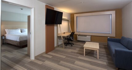 Holiday Inn Express Rochester Hills Room Type - 1 King 1 Bedroom Suite Sofa Bed