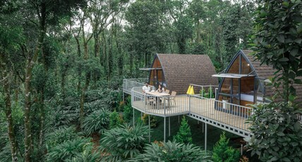 Vanani Luxury Glamping and Resorts Munnar Room Type - Pod house