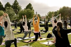 Digital Detox Retreat