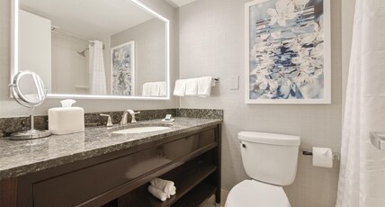 The Capital Hilton Room Type - DELUXE KING - CITY VIEW