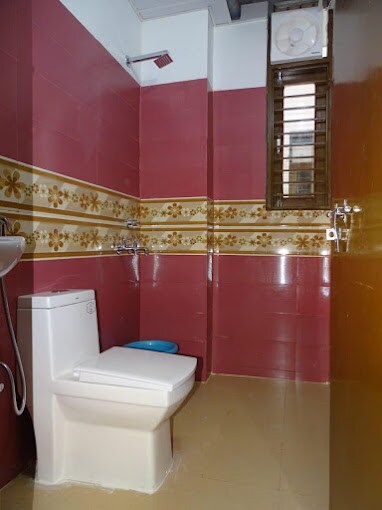 Z Express Bloom - Tap to explore photos