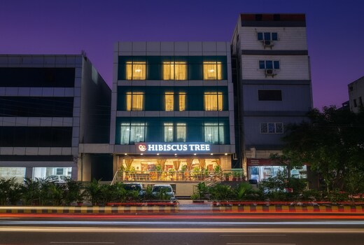 Hotel Hibiscus Tree- Bachupally