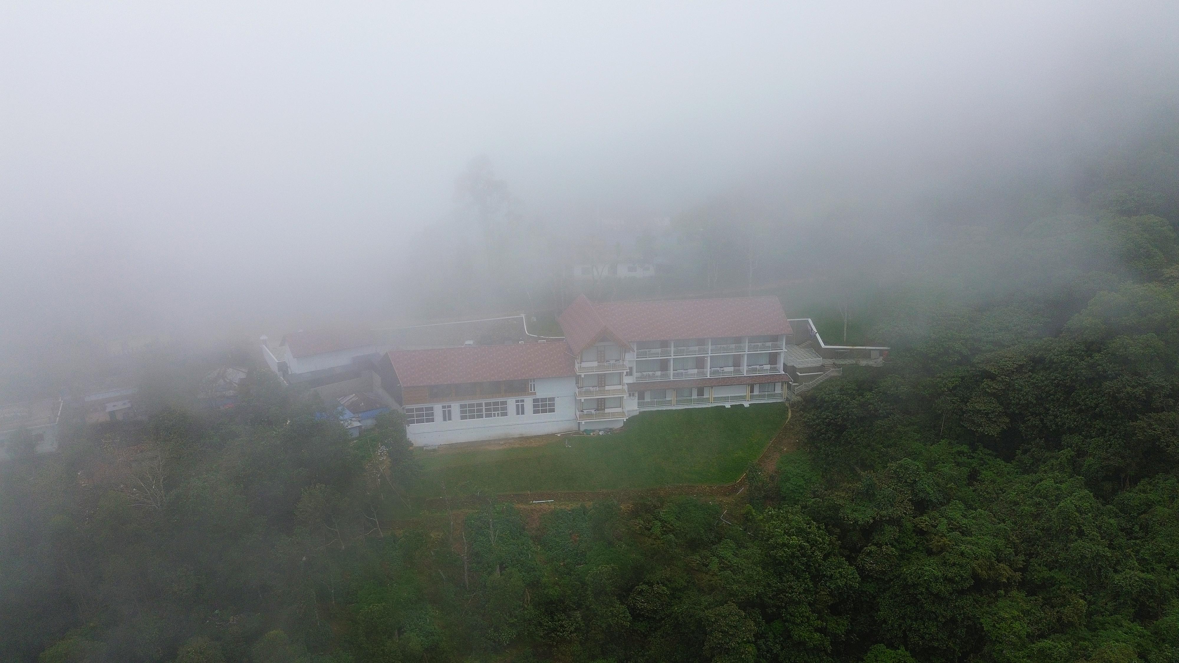 Tea Tree Munnar - Tap to explore photos
