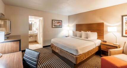 Best Western Town House Lodge Room Type - 1 King Bed, Non-Smoking, Microwave And Refrigerator, Wi-Fi, Shower Only, Full Breakfast Best Western Town House Lodge Room Type - 1 King Bed, Non-Smoking, Microwave And Refrigerator, Wi-Fi, Shower Only, Full Breakfast