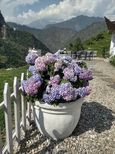 VILLA AADHYA - Tap to explore photos