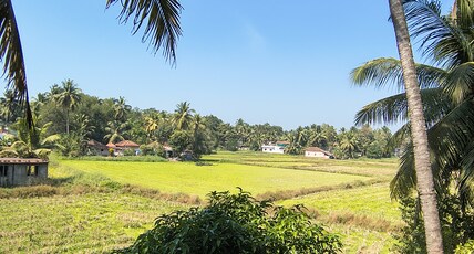 Jayadurga Farms1 Room Type - Jayadurga Farms1