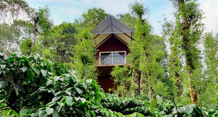 Wayanad Whistling Woods Room Type - Romantic Tree Hut