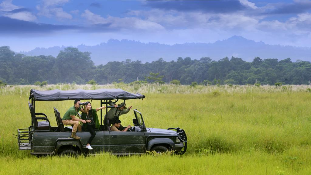 Barahi Jungle Lodge - Tap to explore photos
