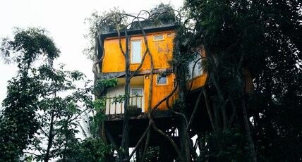 Blue Bells Resort Room Type - Tree Hut Double