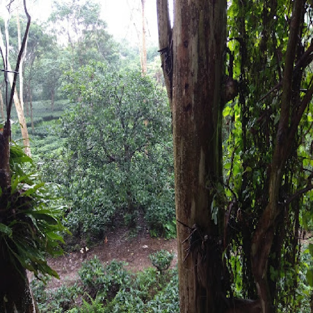 Hotel Tashi - Tap to explore photos