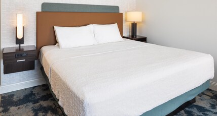 Hampton Inn by Hilton Minneapolis-Roseville Room Type - 1 KNG HEARING ACC NOSMOK