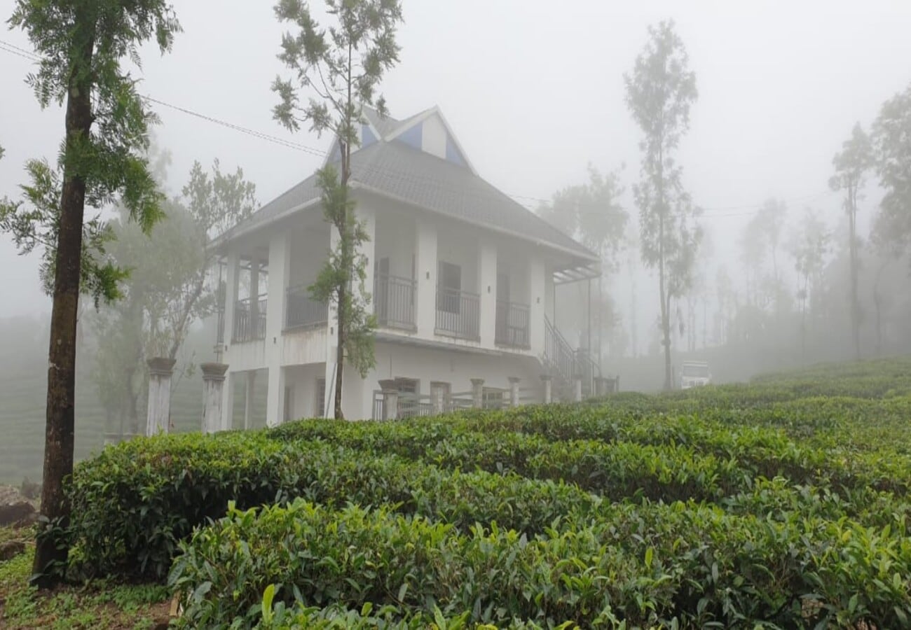Edayan Meadows Vagamon - Tap to explore photos