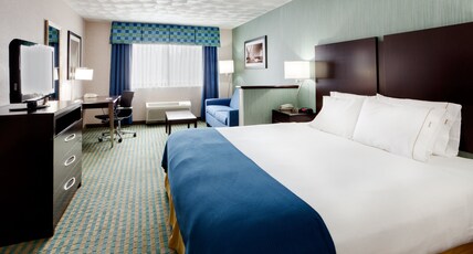 Holiday Inn Express and Suites, an IHG Hotel Room Type - 1 King Bed Standard