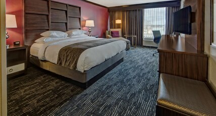 DoubleTree by Hilton Hotel Decatur Riverfront Room Type - 1 KING BED RIVER VIEW ROOM