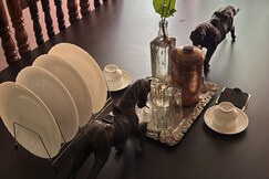 The timeless mysuru bungalow