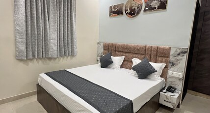 HOTEL PUNIT PALACE Room Type - Delux Room