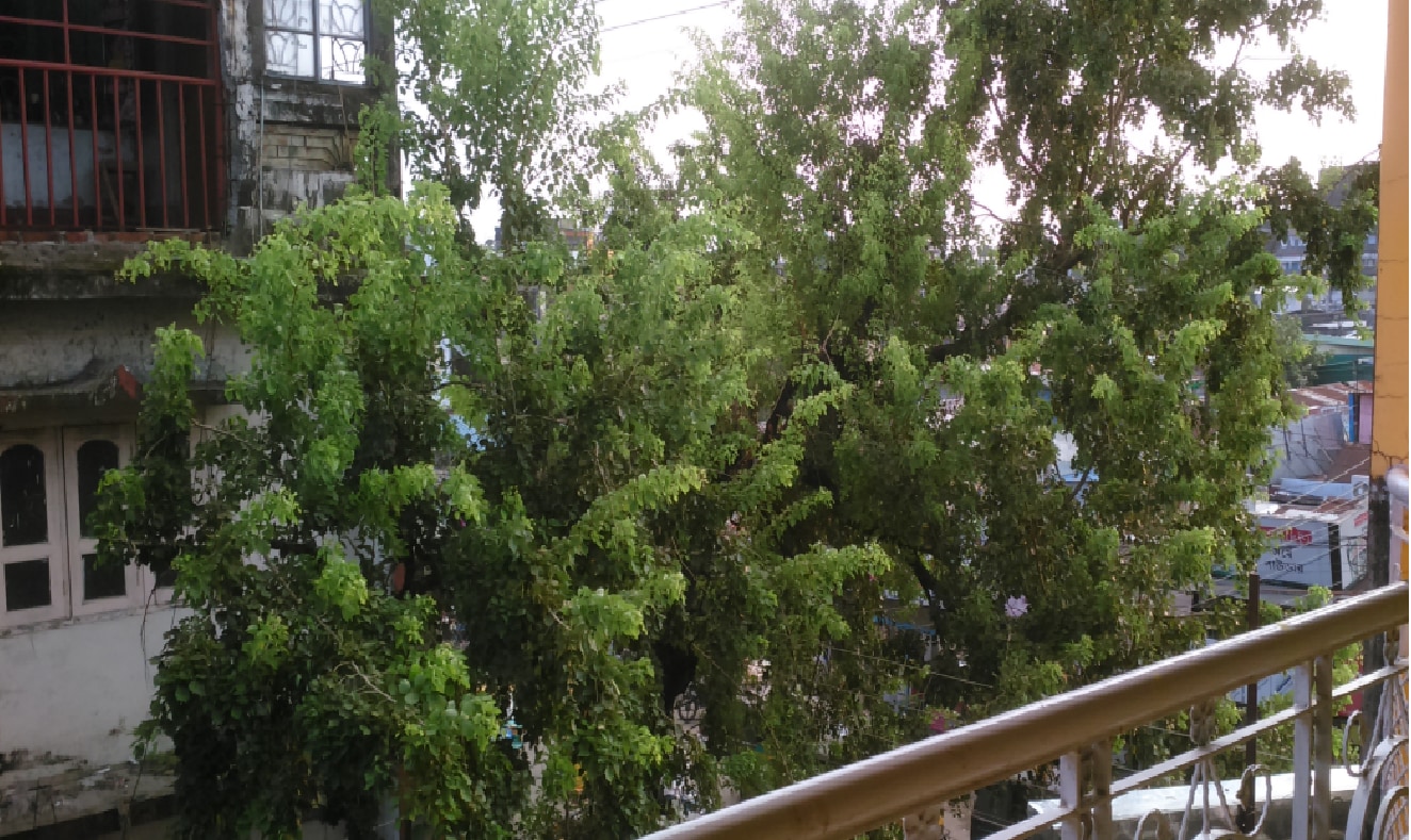 Paul paying guest - Tap to explore photos