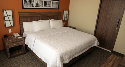 Hampton Inn by Hilton Irapuato Room Type - 1 KING SUITE W MIFRIDGE NS