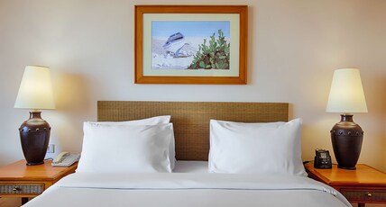 Hilton Alexandria Green Plaza Room Type - QUEEN EXECUTIVE ROOM