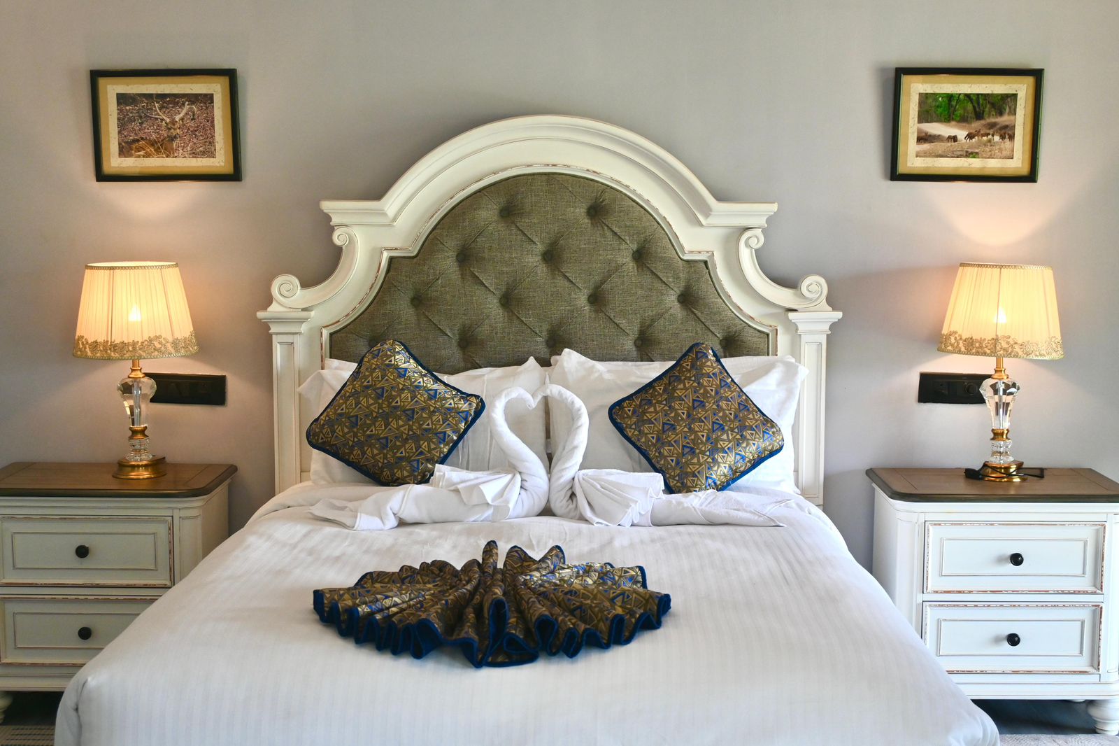 Tuli Orchid - A Boutique Eco Resort - Tap to explore photos