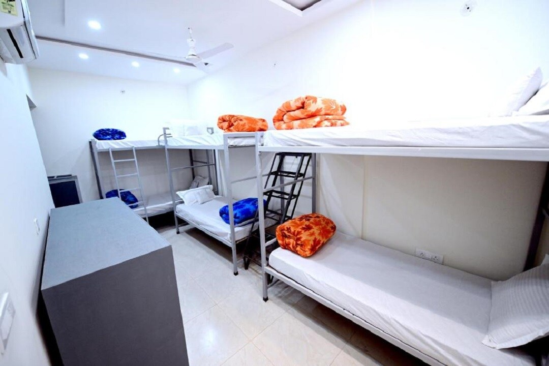 Wanderer Nests - Tap to explore photos