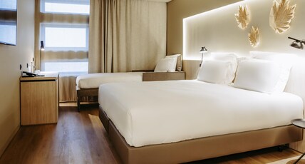 Mercure F Room Type - Superior room with king size bed and sofa bed