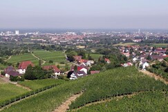 Holiday Inn Express OFFENBURG