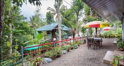 Wayside Cottage | Private Rooms & Treehouse Room Type - Standard Room